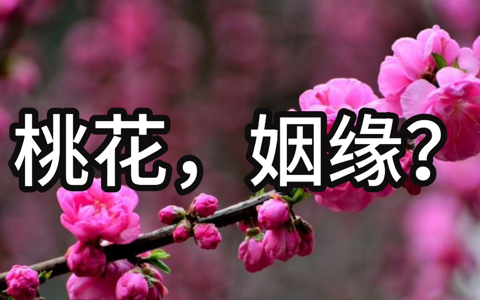 命理探索丨为什么很多人婚姻感情不顺？婚煞是什么意思