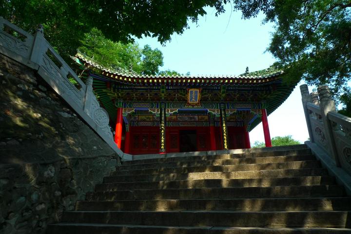 浅谈童子缘：尘世中的一段清修之旅
