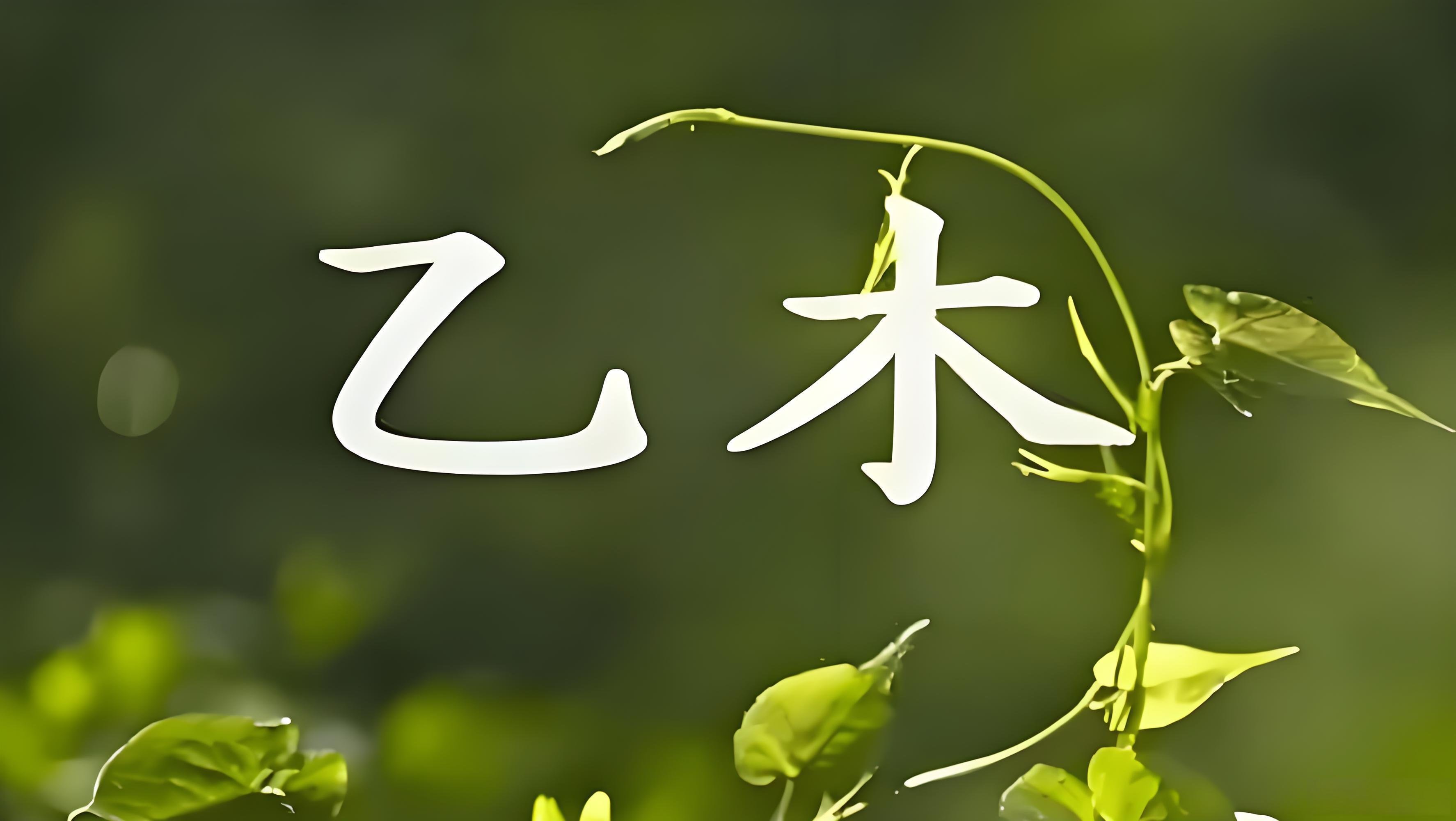 李昱山老师：2026丙午年乙木日元运势解析