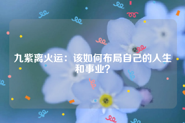 九紫离火运：该如何布局自己的人生和事业？